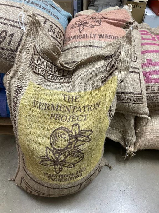 THE FERMENTATION PROJECT KIT