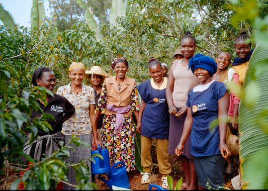 ETIOPÍA BETTE BUNA MAEGADU NATURAL