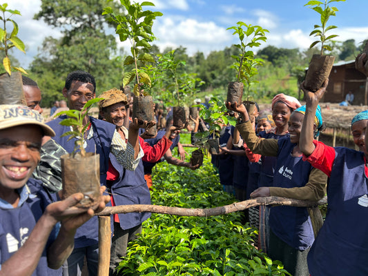 ETIOPÍA TAFERI KELA