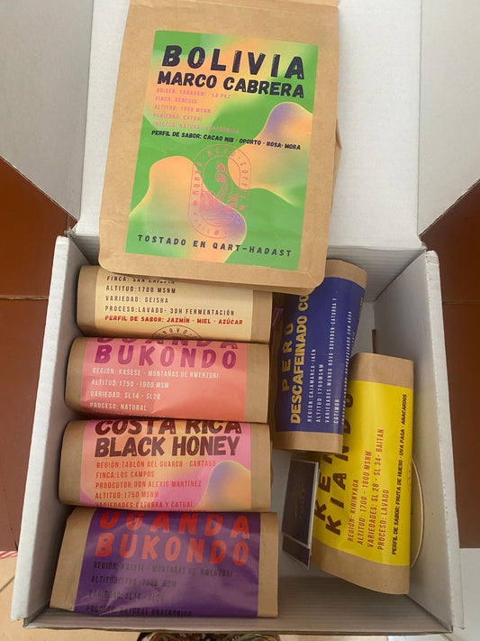 Suscripción Mensual