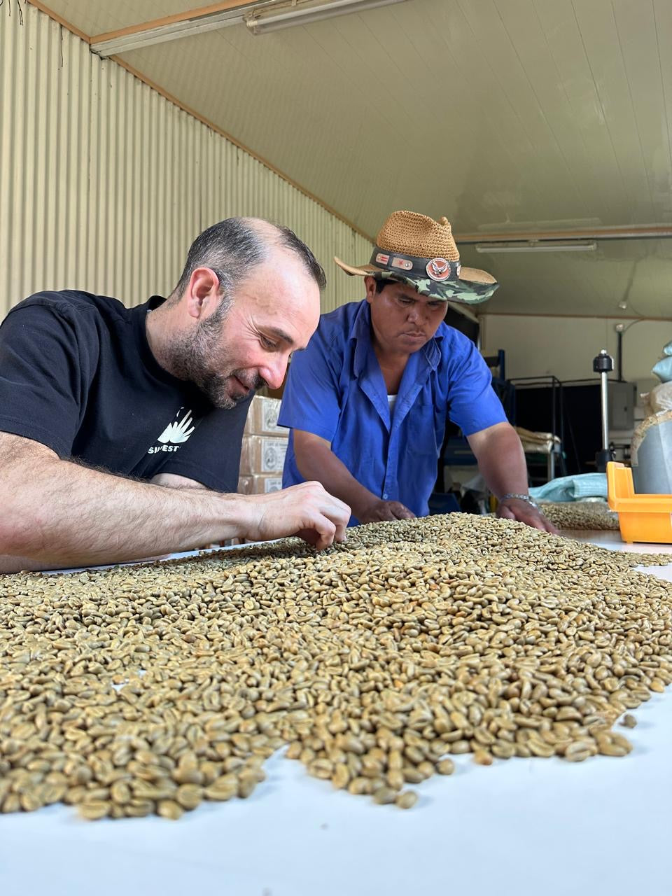 PANAMÁ - FINCA MOMOTO - GEISHA 80gr