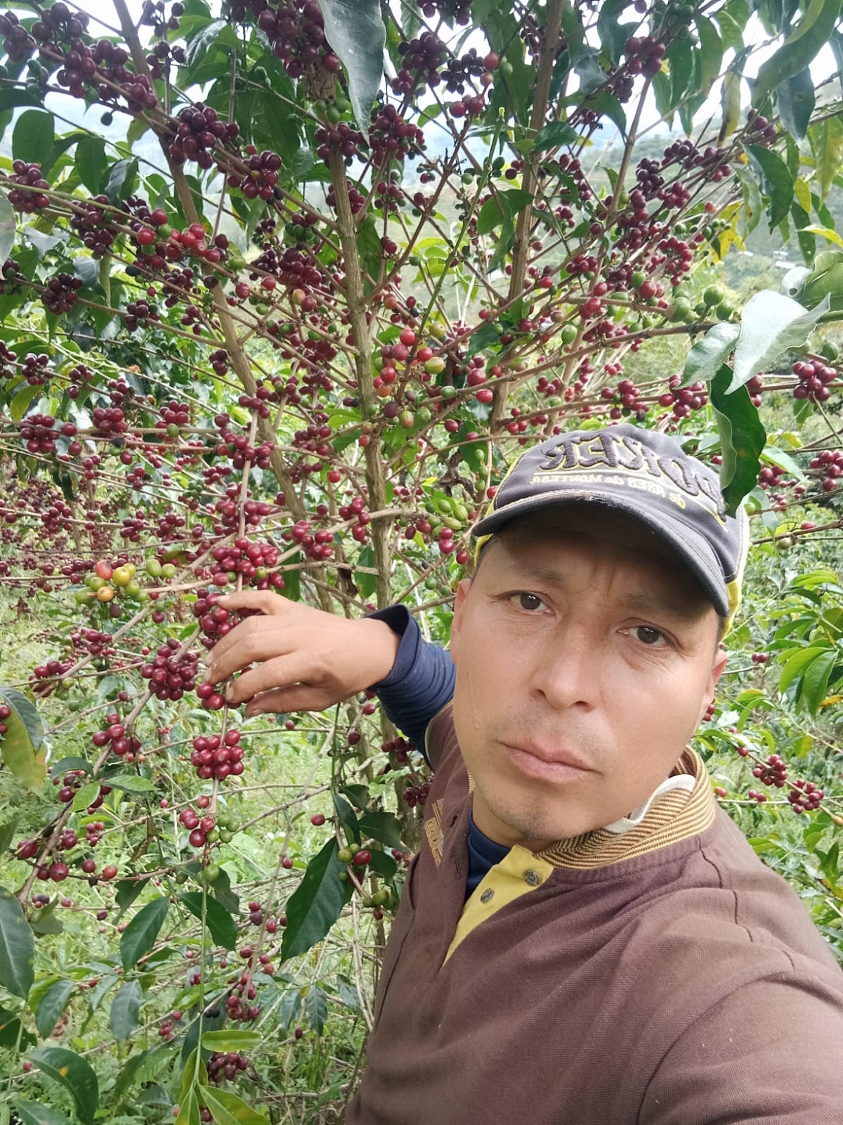 COLOMBIA FINCA EL PORVENIR PINK BOURBON