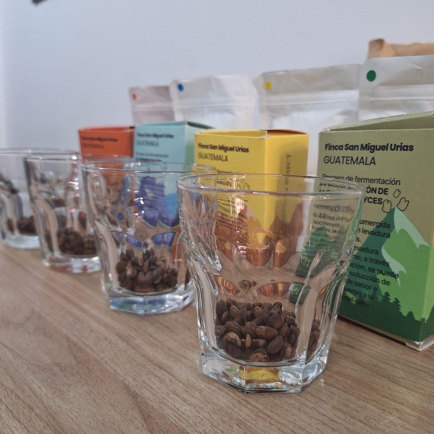 THE FERMENTATION PROJECT KIT