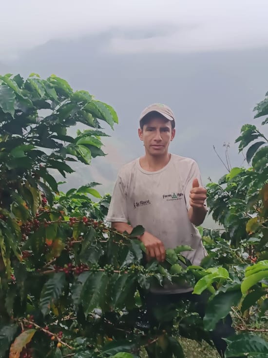 ECUADOR FINCA EUCALIPTOS