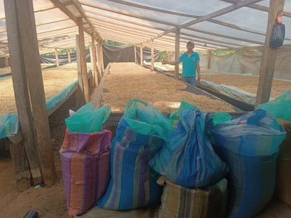 ECUADOR FINCA EUCALIPTOS