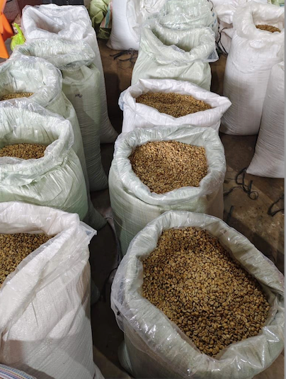 INDONESIA NATURAL ANAERÓBICO