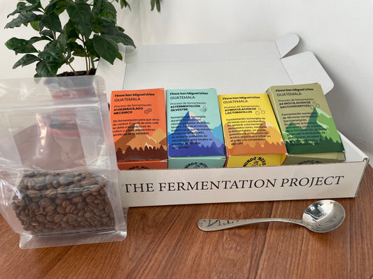THE FERMENTATION PROJECT KIT