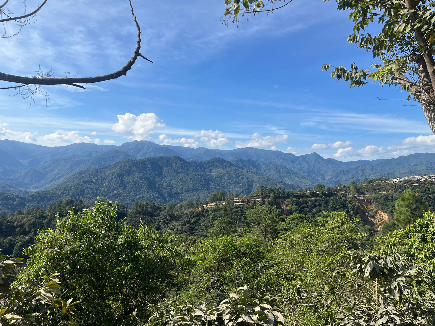 MÉXICO DESCAFEINADO VAYICHIL