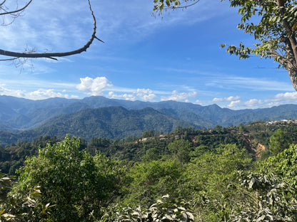 MÉXICO DESCAFEINADO VAYICHIL