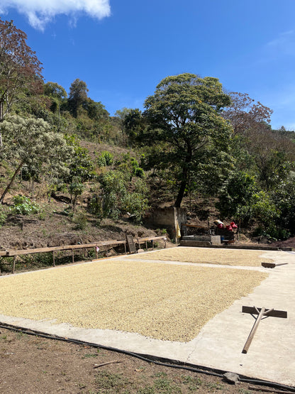 MÉXICO DESCAFEINADO VAYICHIL