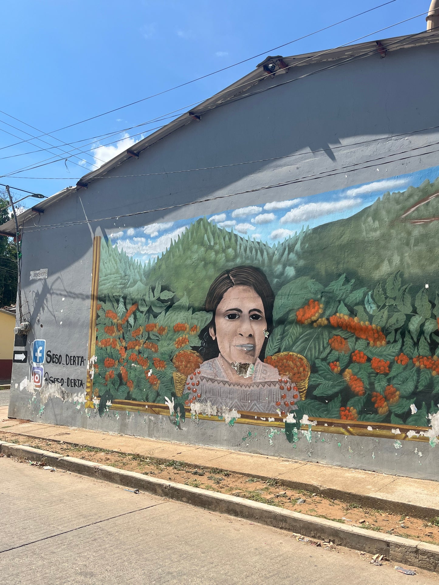 MÉXICO DESCAFEINADO VAYICHIL