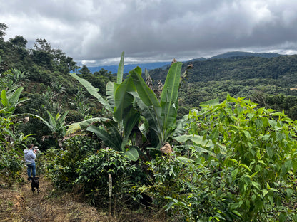 BOLIVIA MARGARITA TICONA
