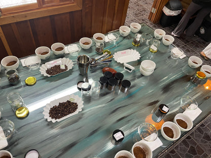 PANAMÁ - FINCA MOMOTO - GEISHA 80gr