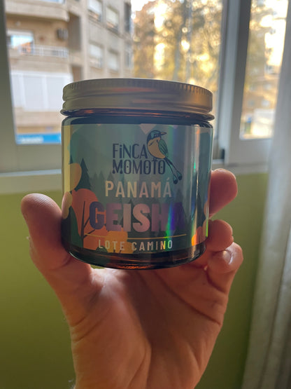 PANAMÁ - FINCA MOMOTO - GEISHA 80gr