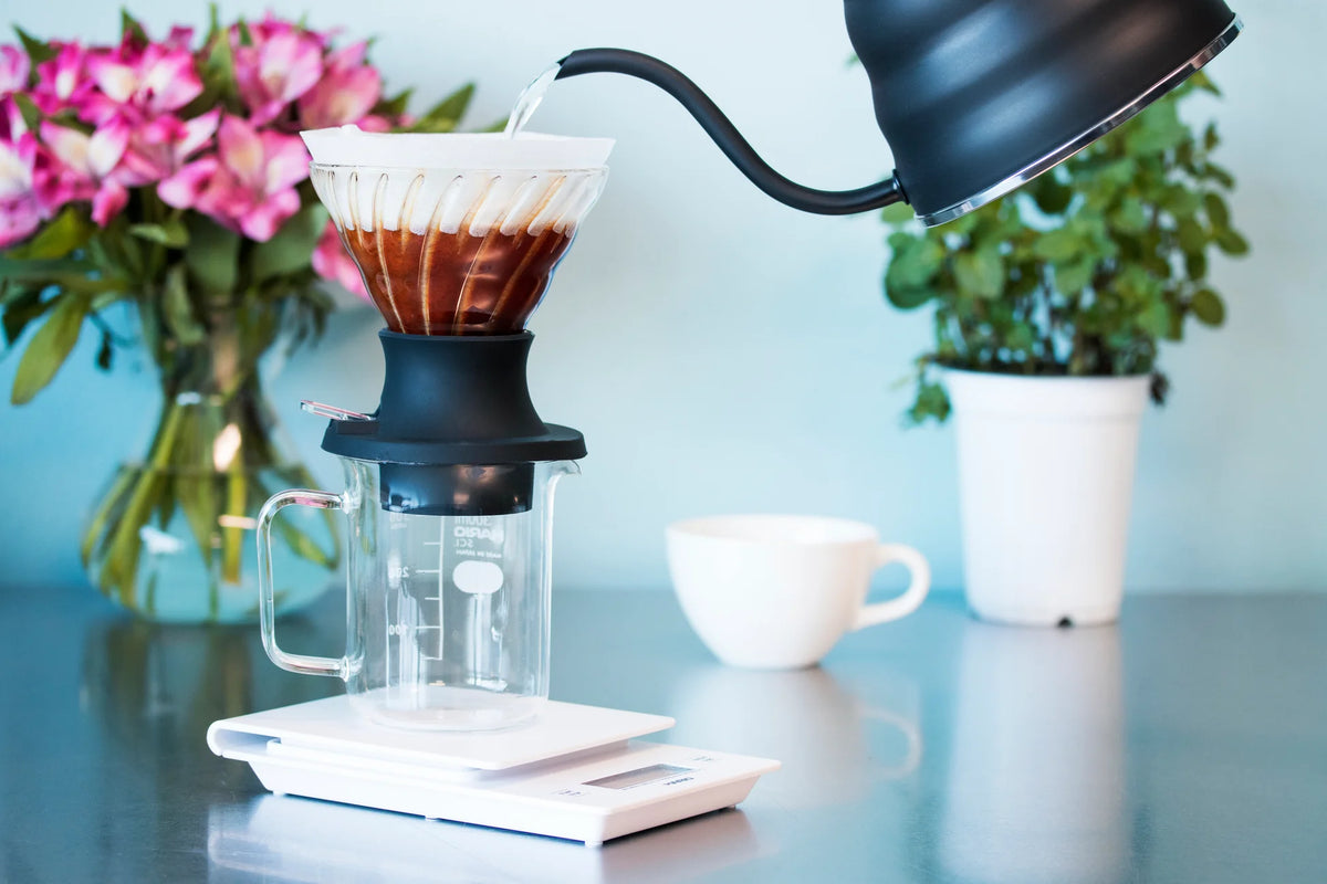 Hario - Immersion Switch Coffee Dripper 02 + 40 filtros