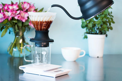 Hario - Immersion Switch Coffee Dripper 02 + 40 filtros