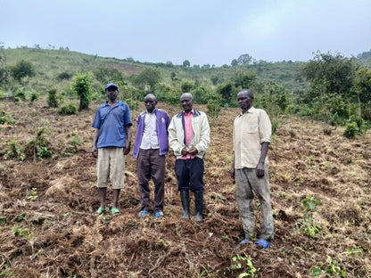 BURUNDI MUTAMBU HILL