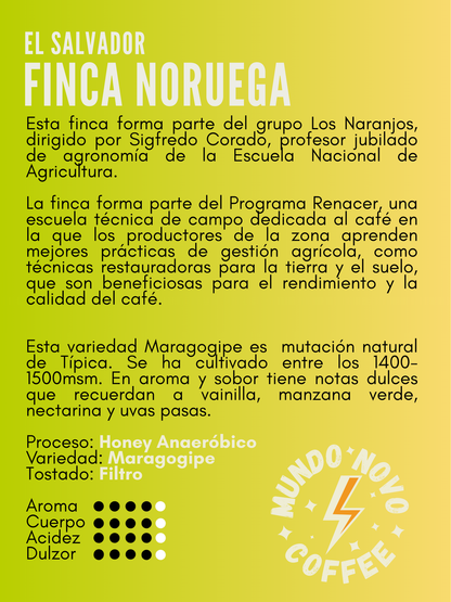 EL SALVADOR FINCA NORUEGA