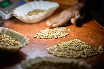 UGANDA BUKONZO NATURAL