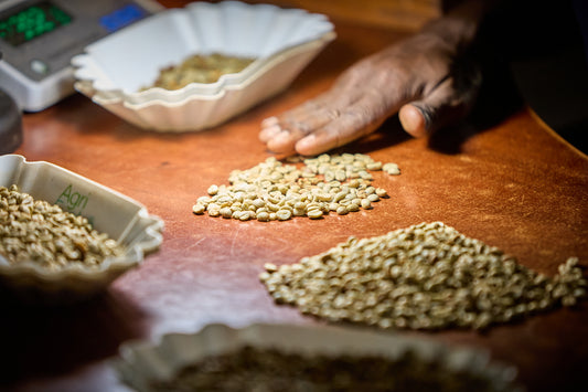 UGANDA BUKONZO NATURAL