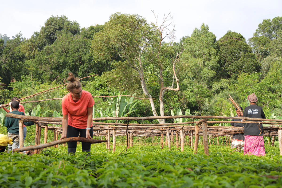 ETIOPÍA TAFERI KELA