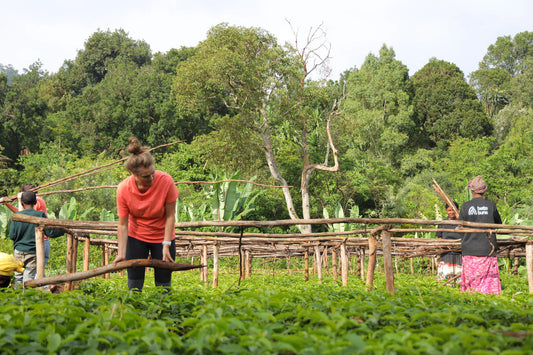 ETIOPÍA TAFERI KELA