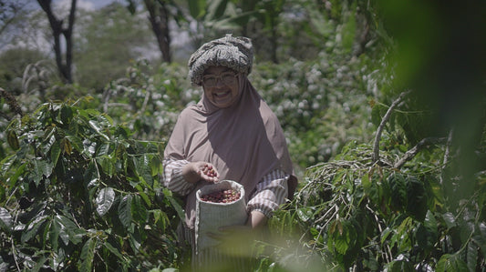 INDONESIA TERRI FARM