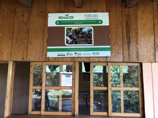 EL SALVADOR FINCA NORUEGA