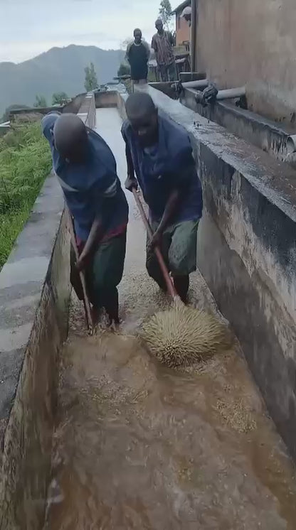 BURUNDI MUTAMBU HILL